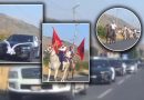 Me kuaj e flamuj kuq e zi, dasma shqiptare merr vëmendjen rrugëve të Malit të Zi (Video)