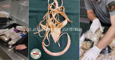 RMV, Drejtoria e Doganave konfiskoi mbi 43 kg stoli ari në vlerë prej 2.3 milionë euro (Foto)