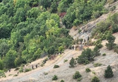Pamje ekskluzive: Terroristët serbë ikin maleve nga Policia e Kosovës