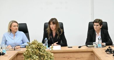 Ministrja Haxhiu mblodhi grupin ndërministror kundër dhunës në familje