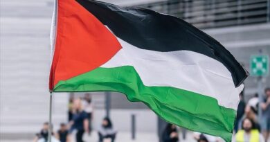 Irlanda dhe Spanja njohin zyrtarisht shtetin e Palestinës