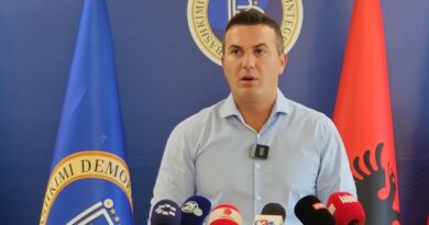 Ademi: Qeveria po cënon përfaqësimin e drejtë nëpër komuna duke e ul numrin e këshilltarëve