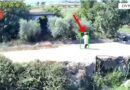 Flakët shkrumbojnë Shqipërinë, arrestohen 8 zjarrvënës