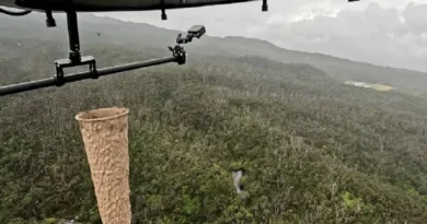 Mijëra mushkonja po lëshohen nga dronët mbi ishujt në Havai, ja pse