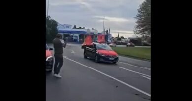 Diaspora nga Gjermania ia mësyn protestës në Hagë (Video)