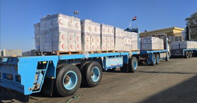 Kamionë me ndihma humanitare hyjnë në Gaza përmes pikës kufitare “Karam Abu Salem”