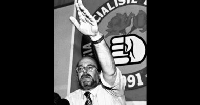 Ndarja nga jeta e Nanos, Rama ndan videon: Miku im i dikurshëm dhe i rigjetur sërish