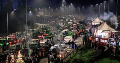 Protestat masive në Greqi, zbardhen kërkesat e fermerëve grekë për qeverinë: Naftë pa taksa, energji elektrike me 7 centë për kWh, heqje e TVSH-së…