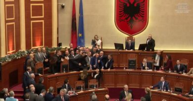 Tensione gjatë seancës plenare të Kuvendit të Shqipërisë (Video)