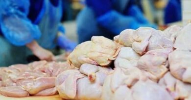 Në pikën kufitare Qafë Thanë është ndaluar importi i mbi 26 tonëve mish pule të ngrirë nga Brazili