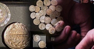 Privohet nga liria një banor i Kumanovës në Vendkalimin Kufitar Tabanoc, në automjetin e tij janë gjetur monedha të vjetra