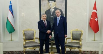 Presidenti Erdogan: Bota turke do të lërë gjurmën e saj në këtë shekull