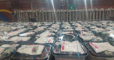 Nesër nis numërimi i mbi 27 mijë fletëvotimeve nga diaspora