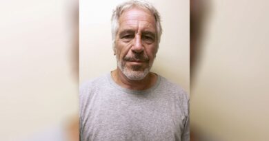 Publikohen pamjet kur rojet gjejnë Jeffrey Epstein të pajetë në qeli (VIDEO)