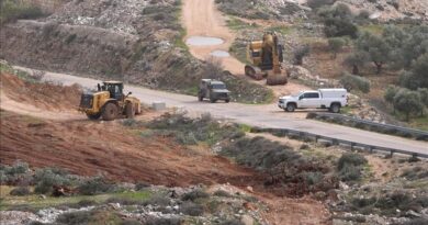 Ushtria izraelite dëmton vreshtat në Bregun Perëndimor të pushtuar, bastis vendbanime palestineze