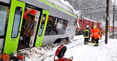 Orteku nxjerr trenin nga shinat në Alpet zvicerane, 5 të plagosur