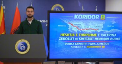 BDI: Heqja e lidhjes me Shqipërinë nga Korodori 8 do ta shkatëronte vetë koridorin (VIDEO)