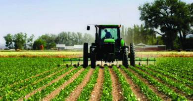 Bujqit paralajmërojnë rritje të çmimeve