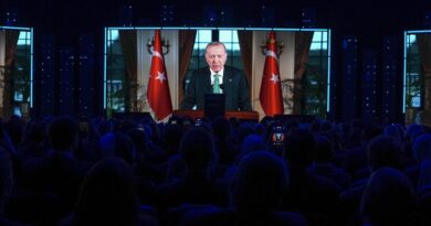 Erdogan: Rendi pas Luftës së Dytë Botërore përballet me krizë legjitimiteti