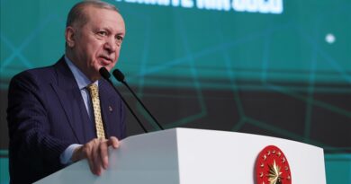Erdogan: Turqia po hyn në një epokë të re me qasje proaktive