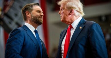 Trump emëron zv/presidentin JD Vance në krye të hetimeve për mashtrim