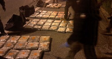 Aksion i policisë në afërsi të Gradskos: Sekuestrohen 65 kg marihuanë, arrestohen dy persona