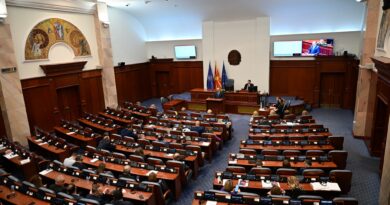 Deputetët të mos kenë shtetësi të dyfishtë! LSDM e mbështet propozimin e VMRO-së, FE kundër