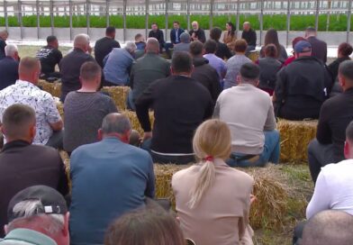 Rama prezanton programin për fermerët: Deri në 2 milionë euro mbështetje, qeverinë e keni nga pas