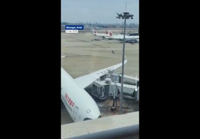 Avioni i China Eastern Airlines përplaset me urën e pasagjerëve në aeroportin e Shangait