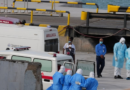 Alarm në Zvicër dhe Francë, identifikohen rastet e para me Hantavirus