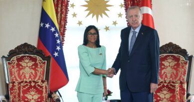 Presidenti turk Erdoğan pret në Stamboll presidenten në detyrë të Venezuelës