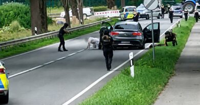 Momenti kur arrestohen dy të dyshuarit për masakrën me 6 të vrarë në Gjermani (VIDEO)