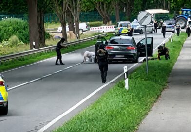 Momenti kur arrestohen dy të dyshuarit për masakrën me 6 të vrarë në Gjermani (VIDEO)