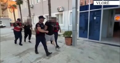 Arrestohen nga policia dy punonjësit e sigurisë private që tërhoqën zvarrë protestuesin në Zvërnec