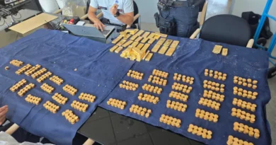 Punëtorët gjejnë 9 mln euro shufra ari duke prishur muret e bodrumit në Belgjikë