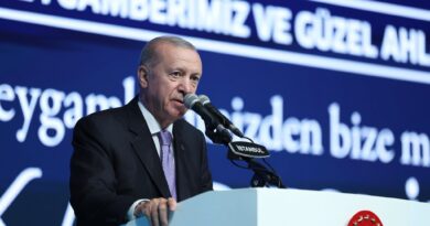 Erdogan: Turqia synon aleanca më të forta dhe më pak mosmarrëveshje në botën islame