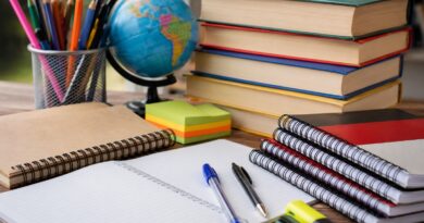 Qeveria urdhëron ulje prej të paktën 15% për çmimet e mjeteve shkollore