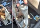 Privohen nga liria dy shtetas të Kosovës për kryerje të veprës penale “falsifikim i parave“, gjenden rreth 230.000 euro