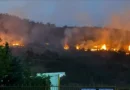 Ndalimi i qarkullimit në pyjet e Maqedonisë zgjatet deri më 30 shtator