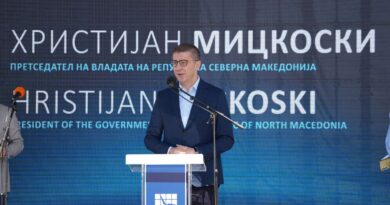 Mickoski premton: Çmimi i energjisë elektrike nuk do të rritet, mund edhe të ulet