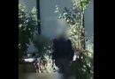 Privohet nga liria 62 vjeçari nga Tetova nën dyshimin se ka dhunuar një fëmijë nën 15 vjeç