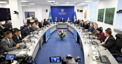 Kurti paralajmëron: Raportet për vrasjen e Arlindës do t’i ndaj me publikun
